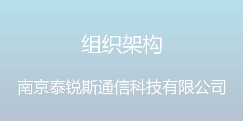 组织架构 - 南京泰锐斯通信科技有限公司